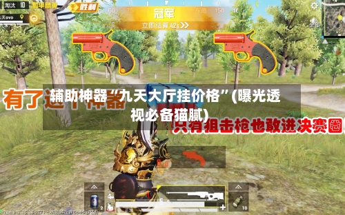 辅助神器“九天大厅挂价格”(曝光透视必备猫腻)-第2张图片