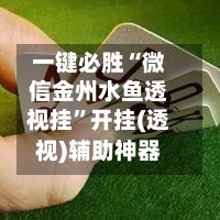 一键必胜“微信金州水鱼透视挂”开挂(透视)辅助神器-第3张图片