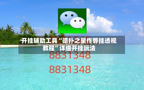开挂辅助工具“德扑之星作弊挂透视教程”详细开挂玩法