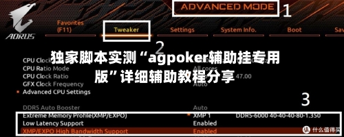 独家脚本实测“agpoker辅助挂专用版	”详细辅助教程分享-第2张图片