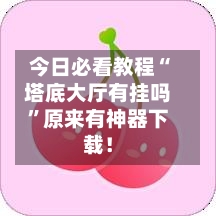 今日必看教程“塔底大厅有挂吗”原来有神器下载！-第2张图片