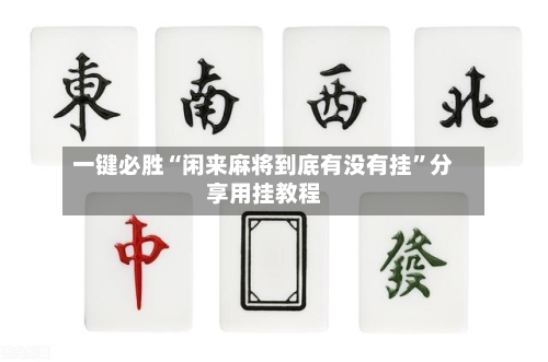 一键必胜“闲来麻将到底有没有挂	”分享用挂教程-第2张图片