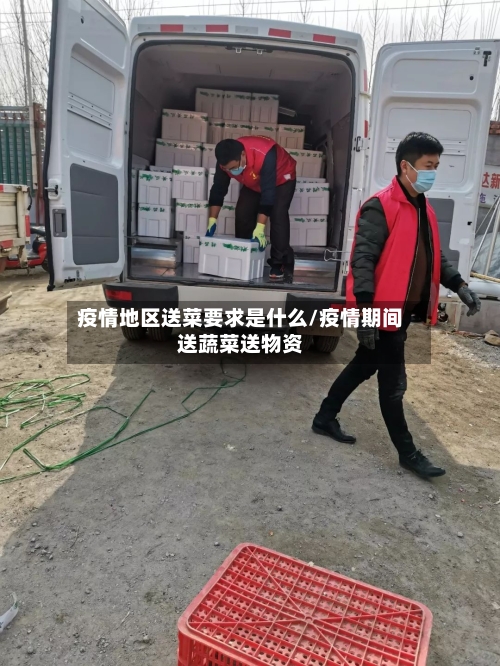 疫情地区送菜要求是什么/疫情期间送蔬菜送物资-第2张图片