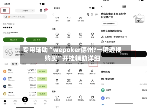 专用辅助“wepoker德州?一键透视购买”开挂辅助详细-第2张图片