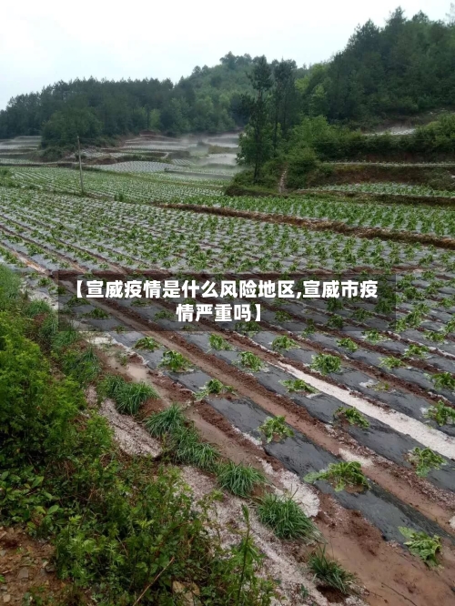 【宣威疫情是什么风险地区,宣威市疫情严重吗】