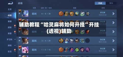 辅助教程“哈灵麻将如何开挂”开挂(透视)辅助-第2张图片