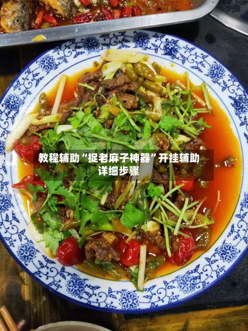教程辅助“捉老麻子神器”开挂辅助详细步骤