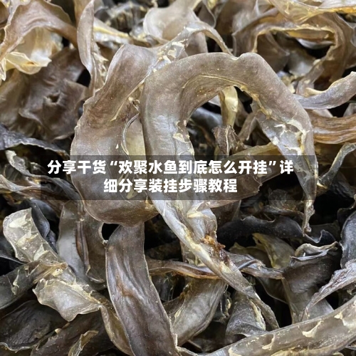 分享干货“欢聚水鱼到底怎么开挂”详细分享装挂步骤教程-第2张图片