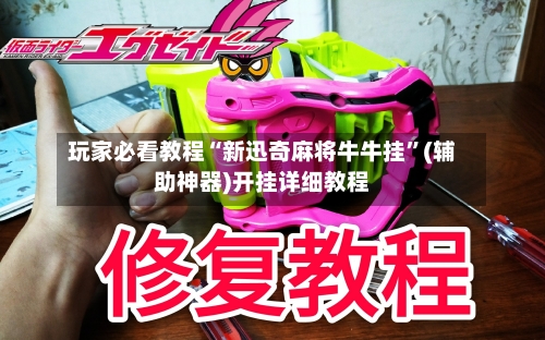 玩家必看教程“新迅奇麻将牛牛挂”(辅助神器)开挂详细教程-第3张图片