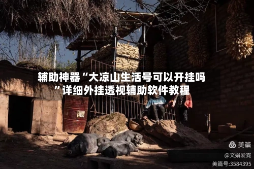 辅助神器“大凉山生活号可以开挂吗”详细外挂透视辅助软件教程-第2张图片