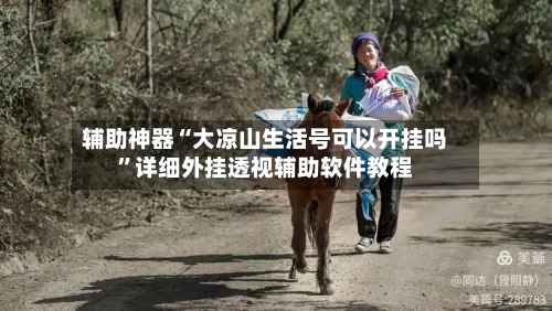 辅助神器“大凉山生活号可以开挂吗”详细外挂透视辅助软件教程-第3张图片