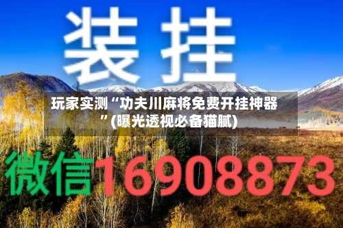 玩家实测“功夫川麻将免费开挂神器”(曝光透视必备猫腻)-第2张图片