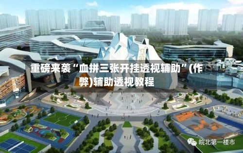 重磅来袭“血拼三张开挂透视辅助”(作弊)辅助透视教程