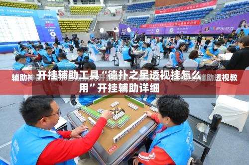 开挂辅助工具“德扑之星透视挂怎么用”开挂辅助详细