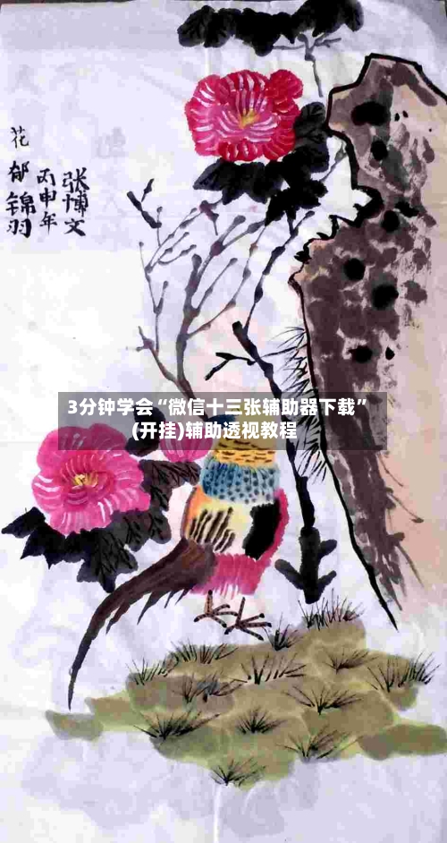 3分钟学会“微信十三张辅助器下载”(开挂)辅助透视教程-第2张图片
