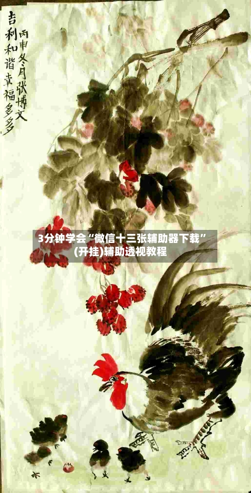 3分钟学会“微信十三张辅助器下载”(开挂)辅助透视教程-第3张图片