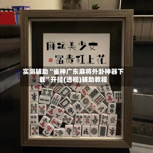 实测辅助“雀神广东麻将外卦神器下载”开挂(透视)辅助教程-第3张图片