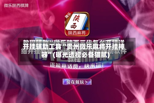 开挂辅助工具“贵州微乐麻将开挂神器”(曝光透视必备猫腻)-第2张图片