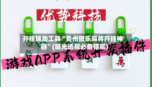 开挂辅助工具“贵州微乐麻将开挂神器”(曝光透视必备猫腻)-第3张图片