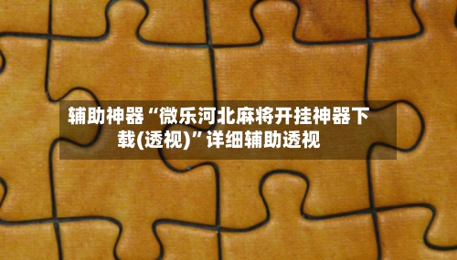 辅助神器“微乐河北麻将开挂神器下载(透视)	”详细辅助透视-第2张图片