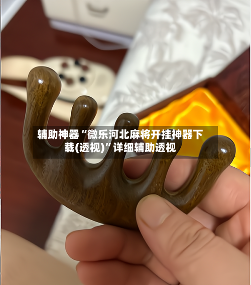辅助神器“微乐河北麻将开挂神器下载(透视)”详细辅助透视-第3张图片