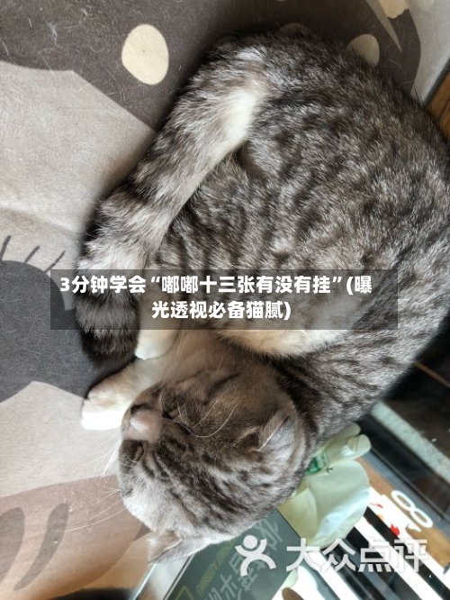 3分钟学会“嘟嘟十三张有没有挂	”(曝光透视必备猫腻)-第2张图片