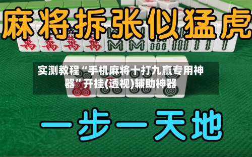 实测教程“手机麻将十打九赢专用神器	”开挂(透视)辅助神器-第2张图片