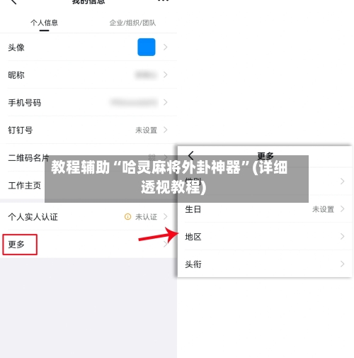 教程辅助“哈灵麻将外卦神器”(详细透视教程)