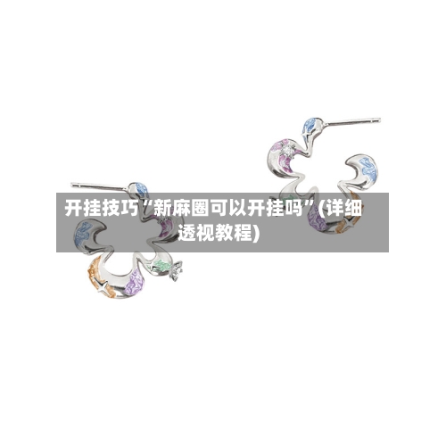 开挂技巧“新麻圈可以开挂吗”(详细透视教程)-第2张图片