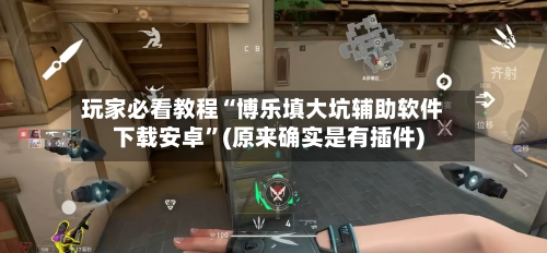 玩家必看教程“博乐填大坑辅助软件下载安卓	”(原来确实是有插件)-第2张图片