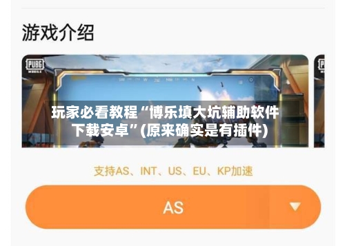 玩家必看教程“博乐填大坑辅助软件下载安卓”(原来确实是有插件)