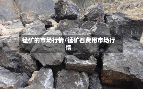 锰矿的市场行情/锰矿石费用市场行情