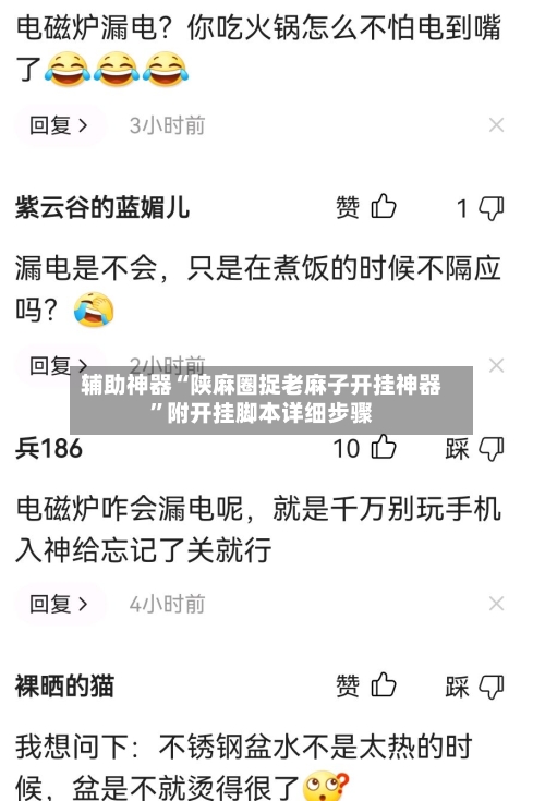 辅助神器“陕麻圈捉老麻子开挂神器”附开挂脚本详细步骤-第2张图片