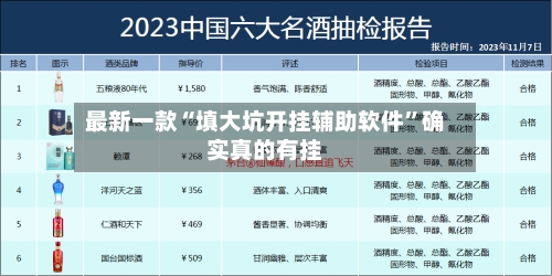 最新一款“填大坑开挂辅助软件”确实真的有挂