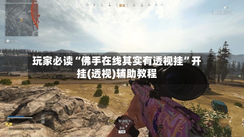 玩家必读“佛手在线其实有透视挂”开挂(透视)辅助教程-第3张图片