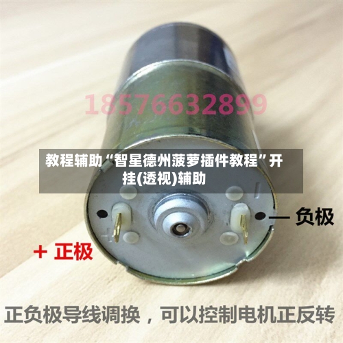 教程辅助“智星德州菠萝插件教程”开挂(透视)辅助