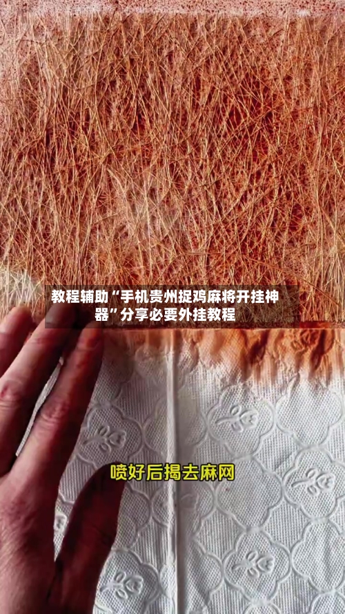 教程辅助“手机贵州捉鸡麻将开挂神器”分享必要外挂教程-第2张图片