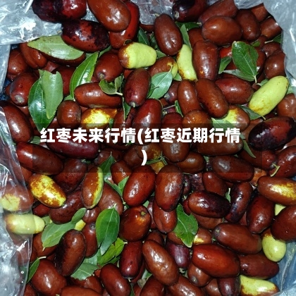 红枣未来行情(红枣近期行情)