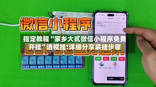 指定教程“家乡大贰微信小程序免费开挂”透视挂!详细分享装挂步骤-第3张图片