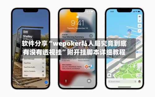 软件分享“wepoker私人局究竟到底有没有透视挂”附开挂脚本详细教程-第3张图片