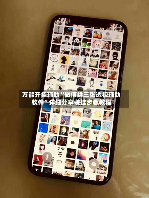 万能开挂辅助“微信拼三张透视辅助软件	”详细分享装挂步骤教程-第2张图片