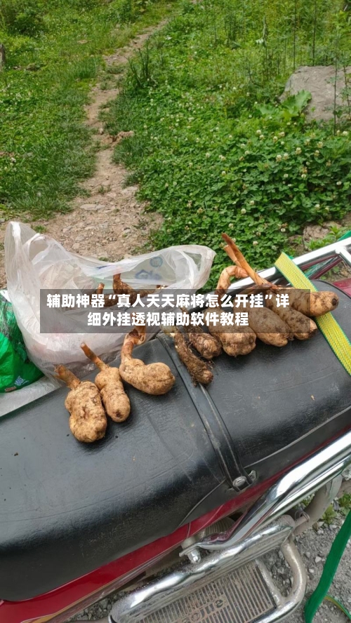 辅助神器“真人天天麻将怎么开挂	”详细外挂透视辅助软件教程-第3张图片
