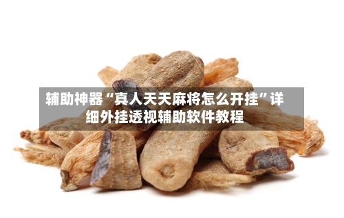 辅助神器“真人天天麻将怎么开挂”详细外挂透视辅助软件教程-第2张图片