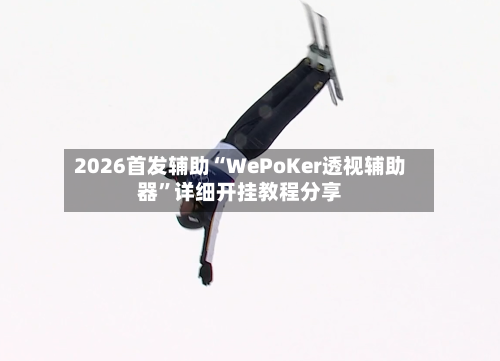 2026首发辅助“WePoKer透视辅助器	”详细开挂教程分享-第2张图片