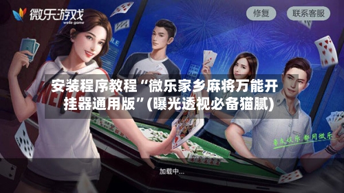 安装程序教程“微乐家乡麻将万能开挂器通用版”(曝光透视必备猫腻)-第2张图片