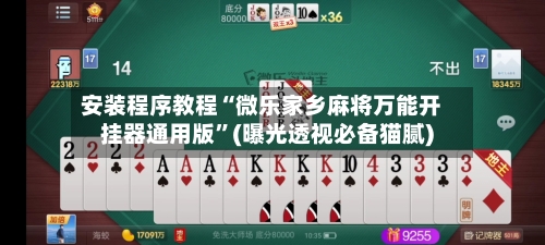 安装程序教程“微乐家乡麻将万能开挂器通用版	”(曝光透视必备猫腻)-第3张图片