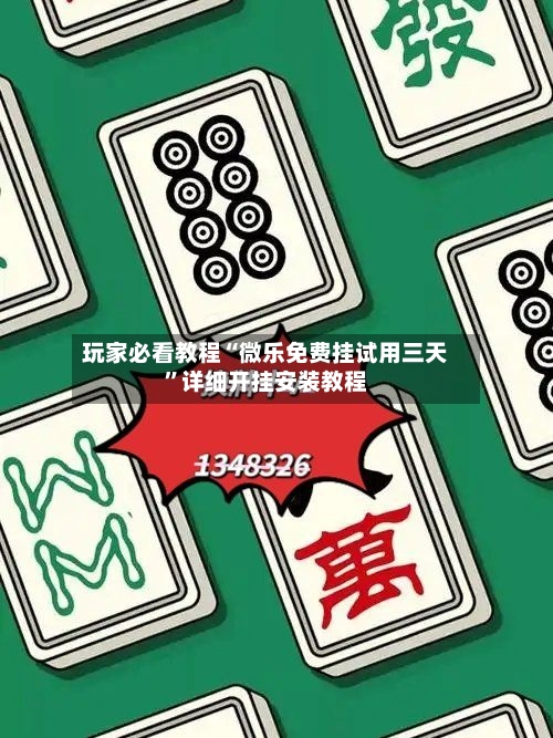 玩家必看教程“微乐免费挂试用三天”详细开挂安装教程-第2张图片
