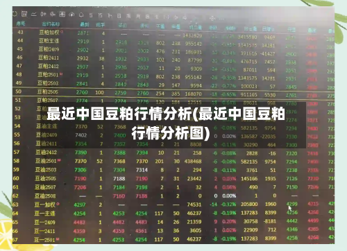 最近中国豆粕行情分析(最近中国豆粕行情分析图)-第2张图片
