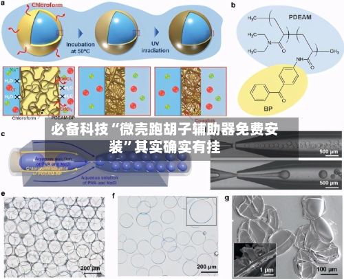必备科技“微壳跑胡子辅助器免费安装”其实确实有挂-第3张图片