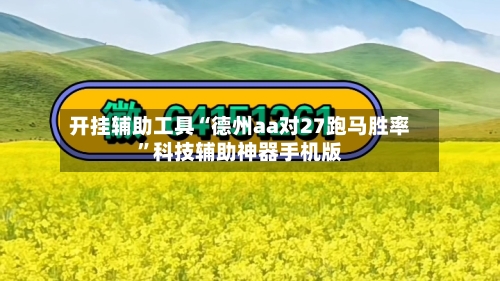 开挂辅助工具“德州aa对27跑马胜率”科技辅助神器手机版-第3张图片